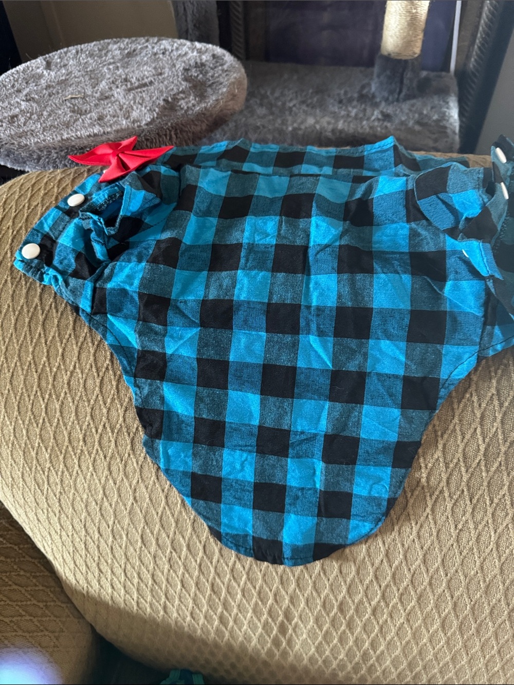Plaid shirts with red bow tie on front.